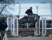 Elvira Tosc Tour2013- S5 1917 : Arezzo, Cavalli d'Italia, Elvira B, Toscana Tour 2013, foto di Stefano Secchi ©